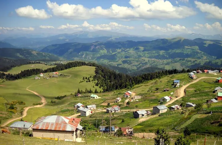 Bektaş Yaylası Kamp Alanı
