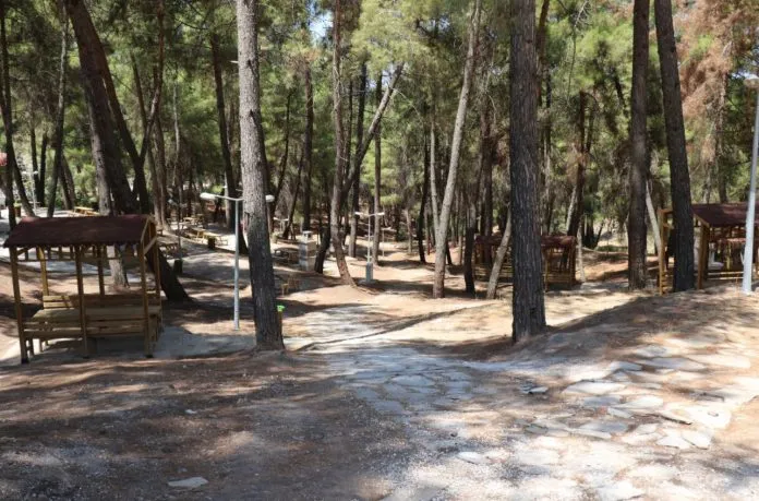 Belenözü Köyü Kamp Alanı