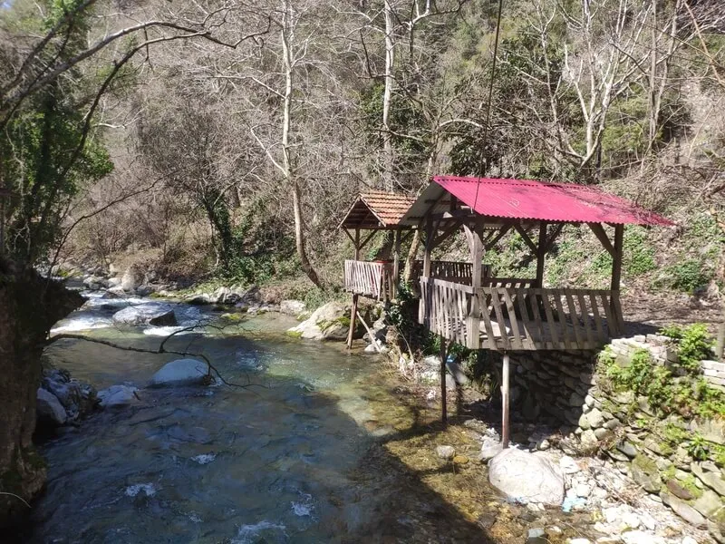 Besikgol Yaylasi Mesire Ve Kamp Alani