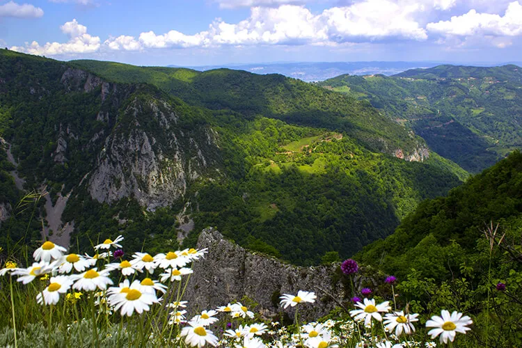 Beskayalar Tabiat Parki Kamp Alani