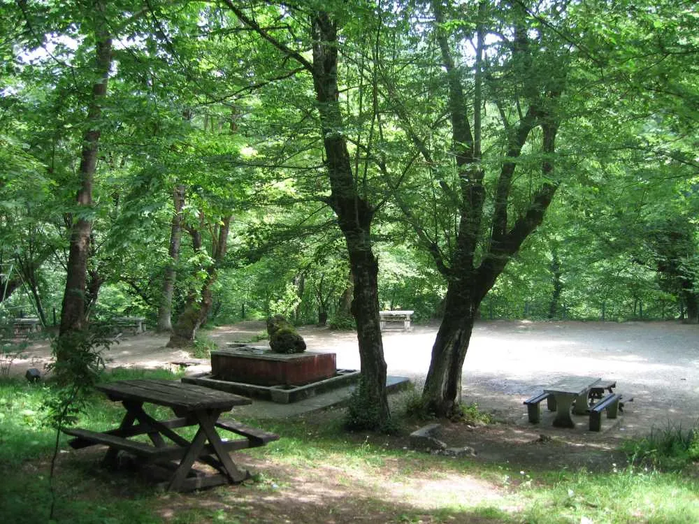 Bostandüzü Ormaniçi Kamp Alanı