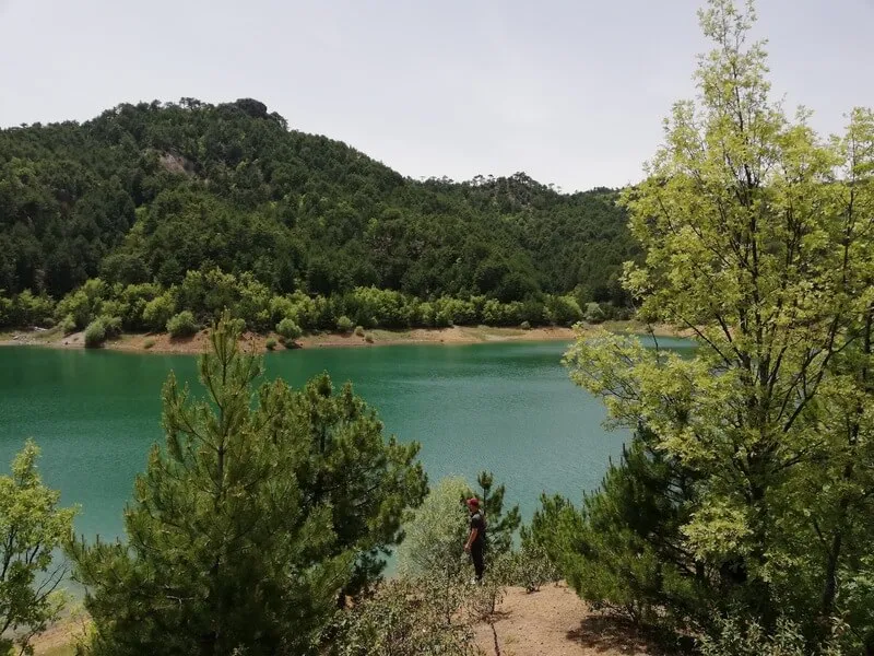 Büyükoturak Barajı Kamp Alanı (Kozviran Göleti)