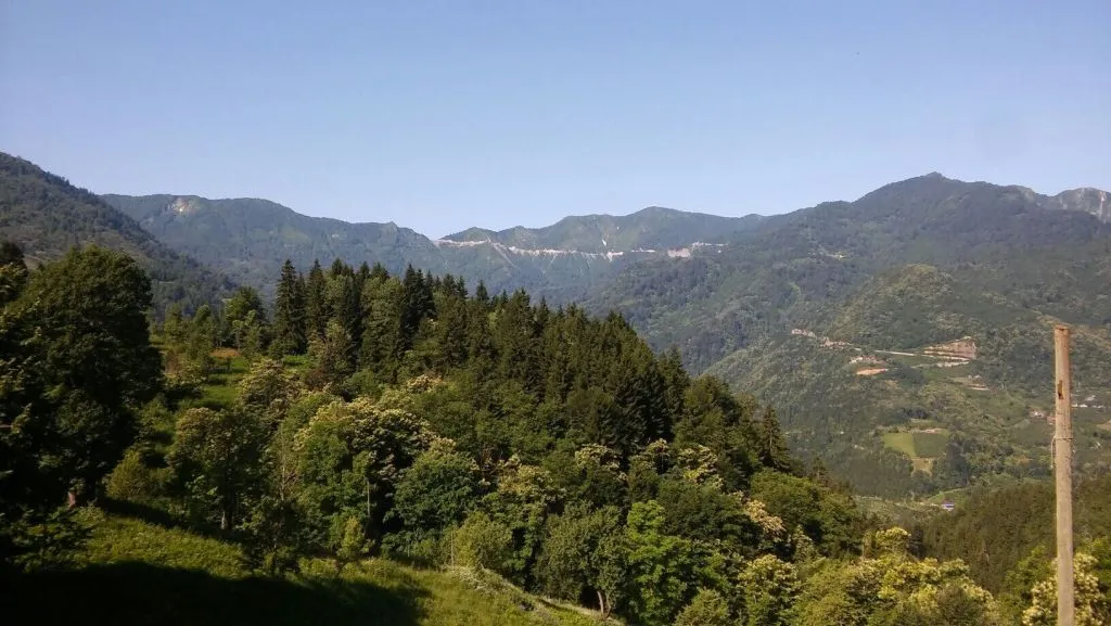 Camili Gorgit Tabiat Koruma Alanı