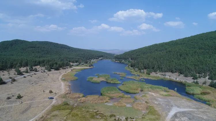 Çamkoru Tabiat Parkı Kamp Alanı