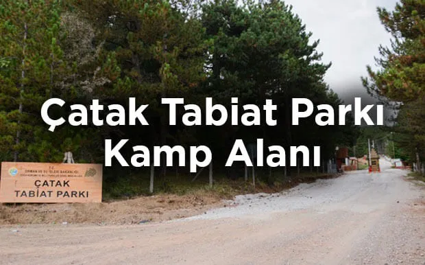 Çatak Tabiat Parkı Kamp Alanı