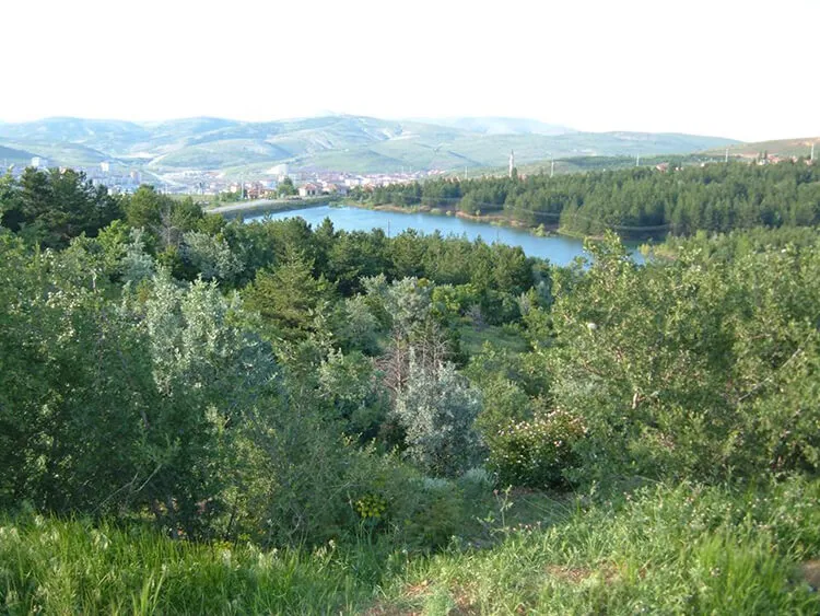 Çayıralan Ormanları Kamp Alanı