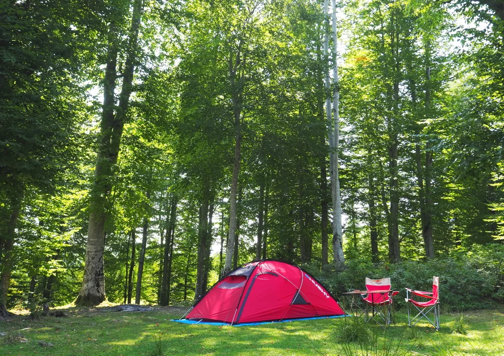 Damlarca Mevkii Dicle Nehri Kamp Alanı