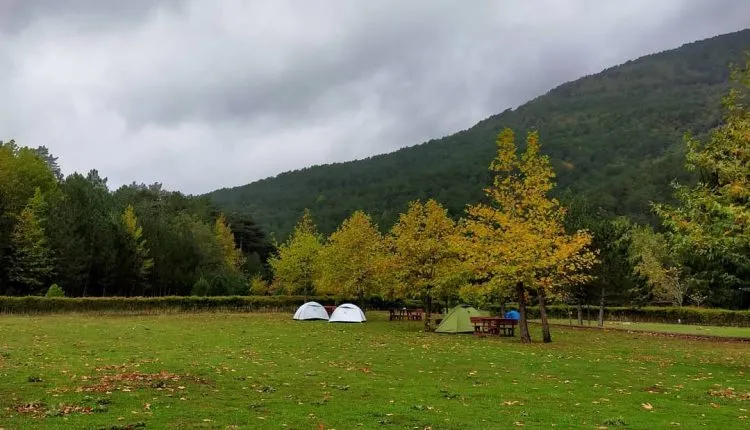Darıdere Tabiat Parkı Kamp Alanı