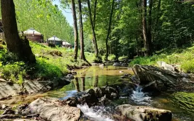 Demirköy Mevkii Kamp Alanı