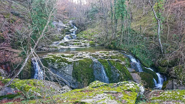 DemirkoyBalaban Mesire Ve Kamp Alani