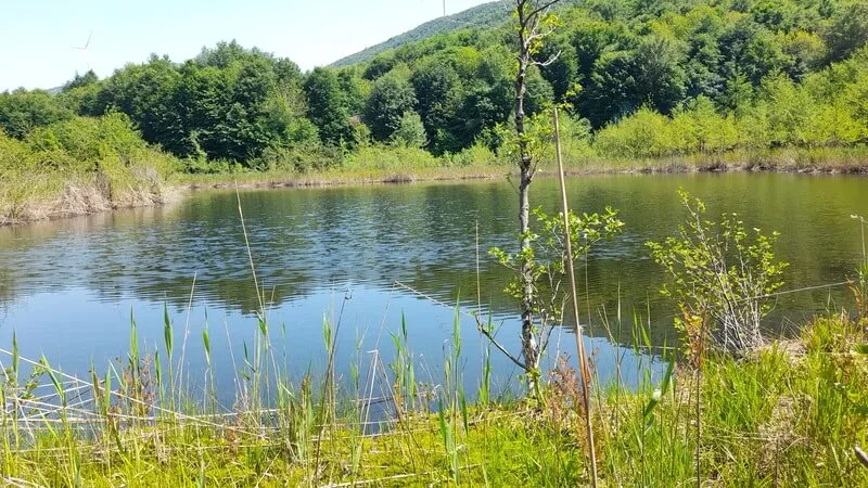 Dipsiz Göl Kamp Alanı