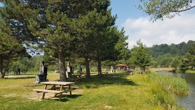 ⛺ Domaniç Ormanları’nda Çadır Kampı Deneyimi