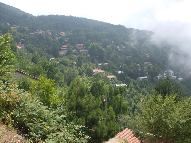 Dortyol Topraktas Yaylasi Kamp Alani