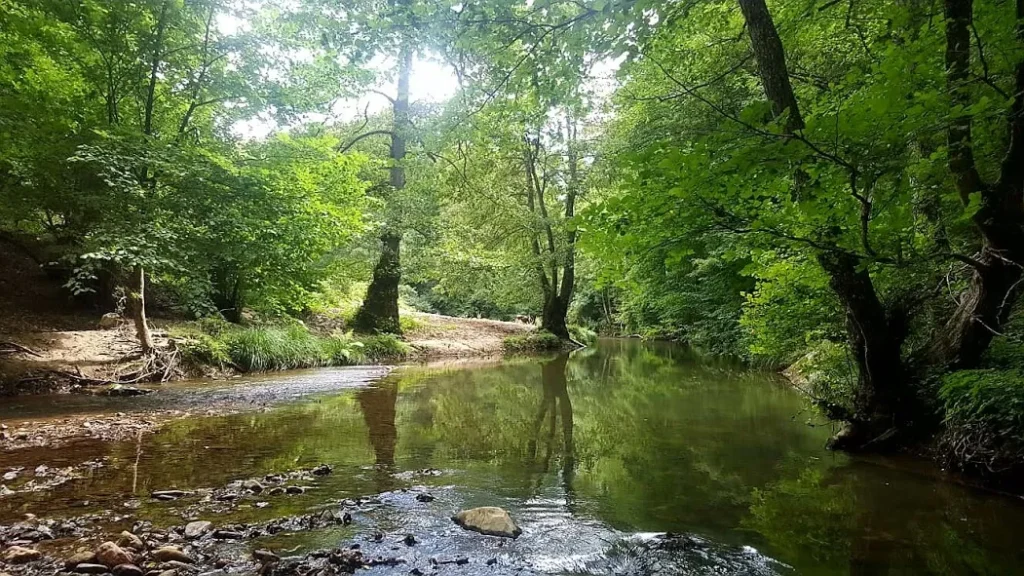 Dupnisa Mağara Çevresi Kamp Alanı