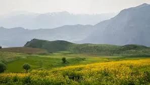 Durankaya Yaylası Kamp Alanı