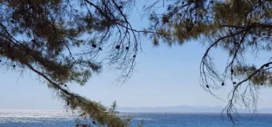 Eceabat Kamp Alanları – Eceabat Kamp Yapılacak Yerler