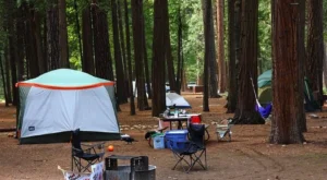 Edirne Kamp Alanları – Edirne Kamp Yapılacak Yerler