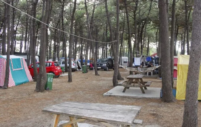 Edirne Kent Ormanı Kamp Alanı