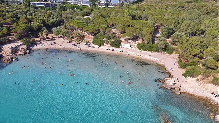 Ekmeksiz Tabiat Parkı Kamp Alanı – Ekmeksiz Orman Kampı