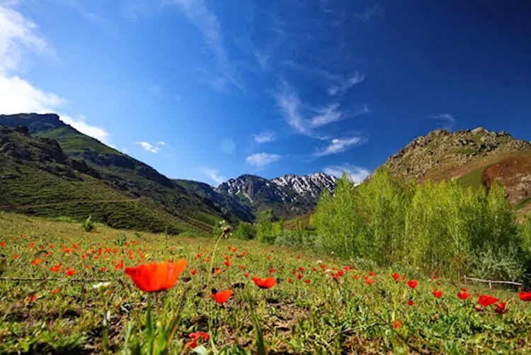 Erek Dağı Kamp Alanı