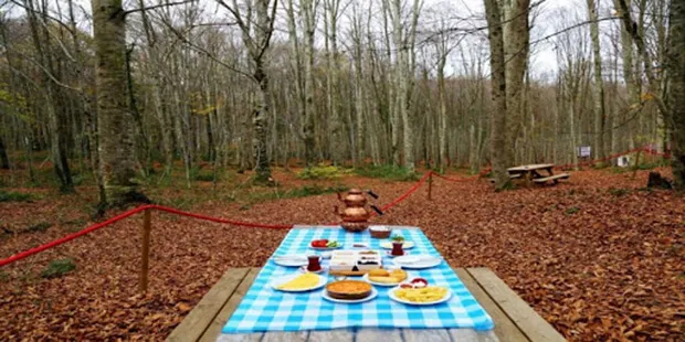 Eriklitepe Tabiat Parki Kamp Alani 1