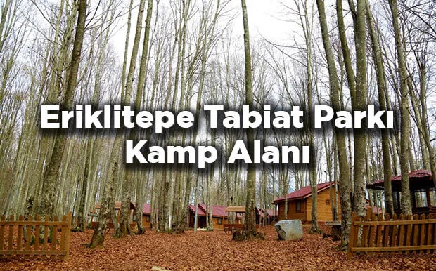 Eriklitepe Tabiat Parkı Kamp Alanı