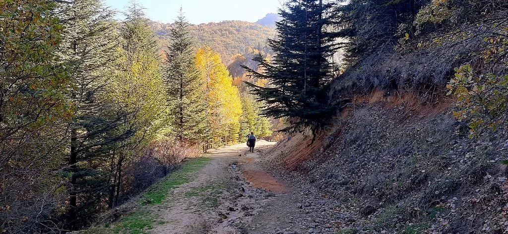 Erkmen Tabiat Parkı Kamp Alanı
