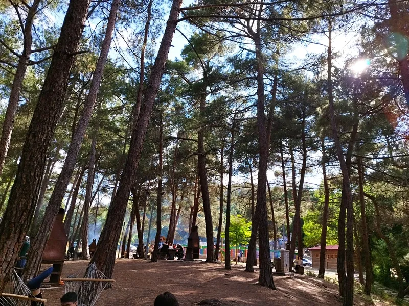 Evren Dede Mesire Alanı Ve Kamp Alanı