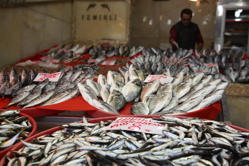 Fischmarkt (Balık Pazarı)