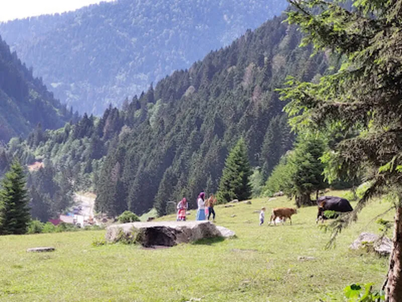 Galer Düzü Kamp Alanı