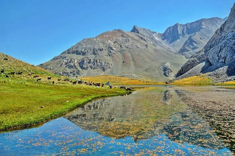 Göllüdağ Kamp Alanı