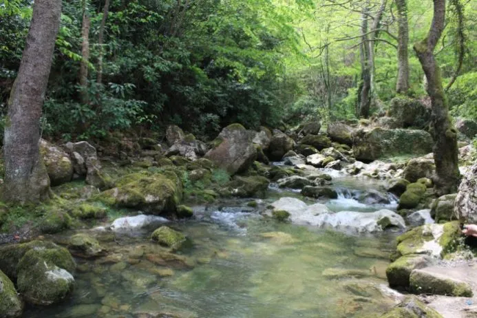 Güneşli Şelalesi Kamp Alanı