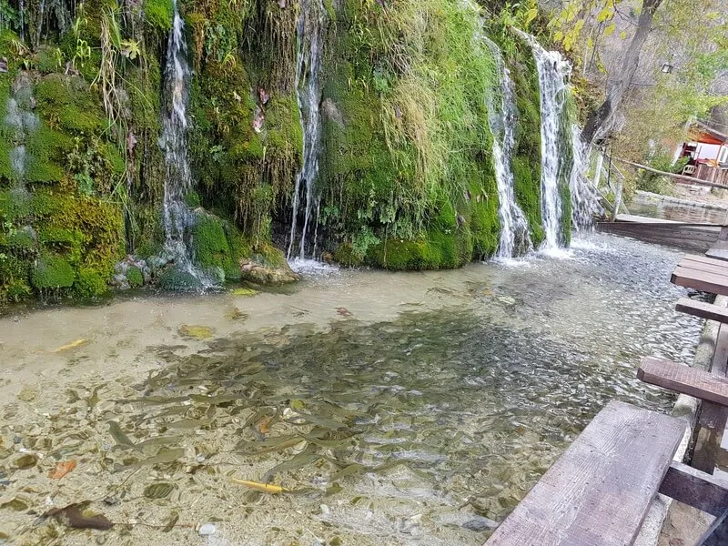 Güney Şelalesi Kamp Alanı