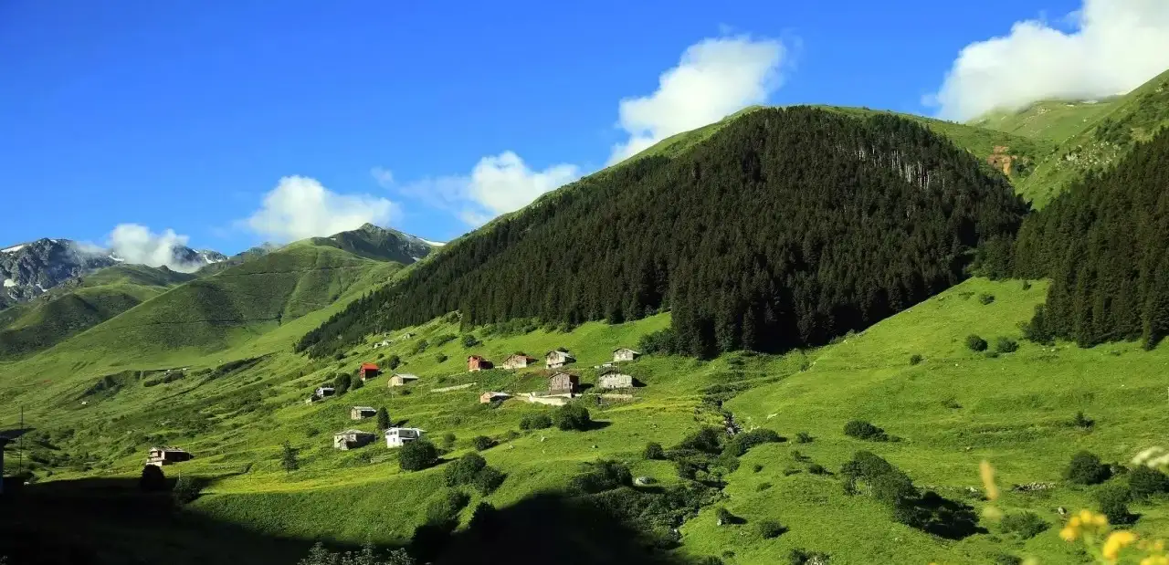 Gürcü Yaylası Kamp Alanı