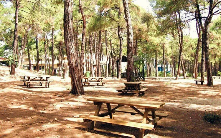Honaz Dağı Milli Parkı Kamp Alanı