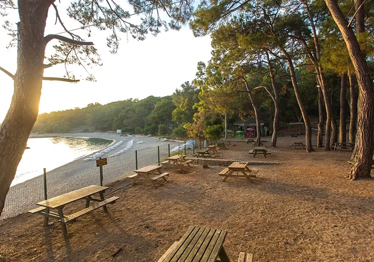 Incekum Orman Kampi Ve Piknik Alani