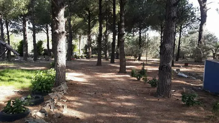 İnek Obası Kamp
