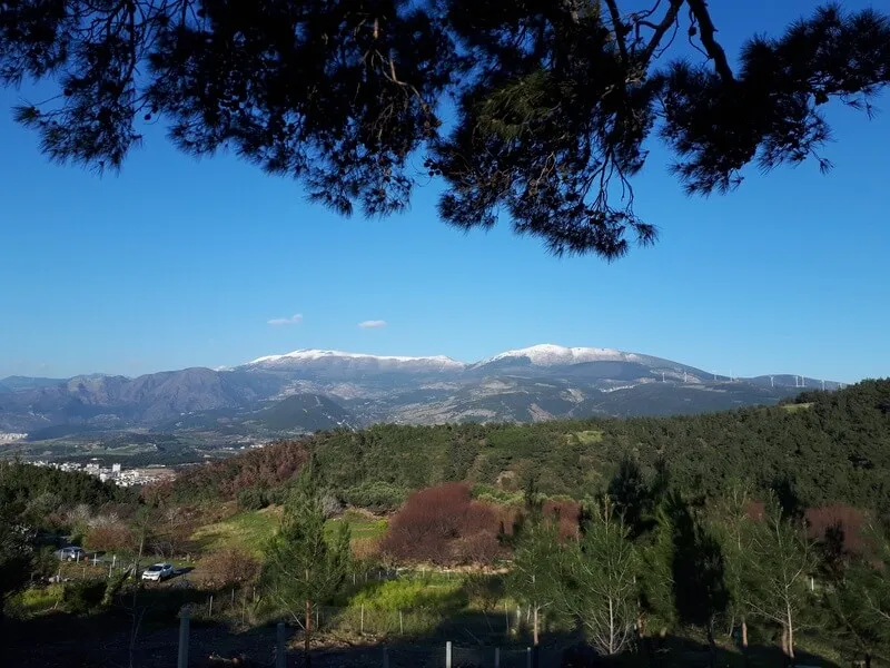 Iskenderun Nergizlik Yaylasi Kamp Alani
