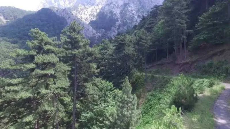 İsrafil Deresi Kamp Alanı