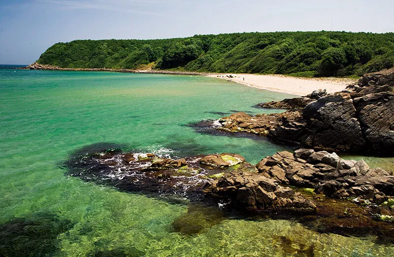 Istranca Ormanları Kamp Alanı