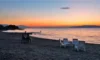 İznik Kamp Alanları – İznik Kamp Yapılacak Yerler