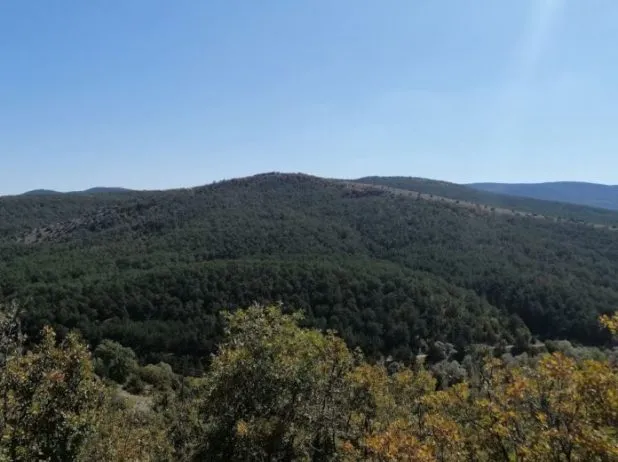 Kadıpınarı Yaylası Tabiat Parkı Kamp Alanı