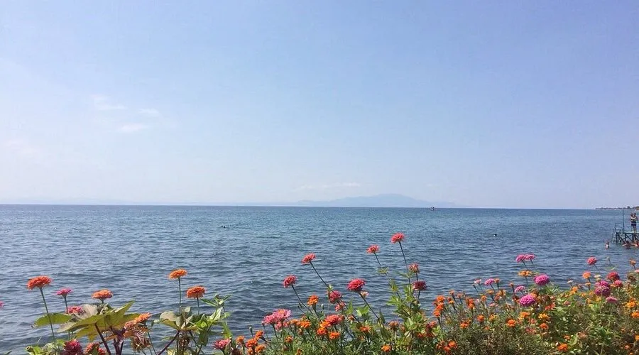 Kafkas Camping