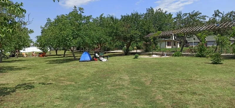 Kampüs Doğal Yaşam