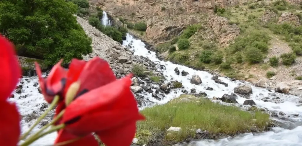 Kanisipi Şelalesi Kamp Alanı