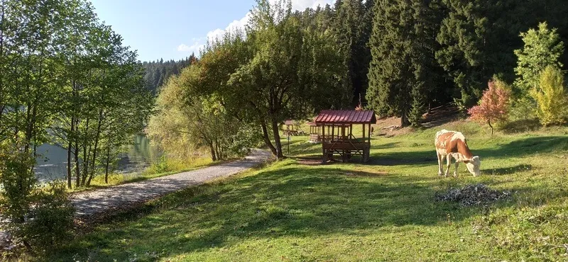 Karagöl Sahara Milli Parkı Kamp Alanı