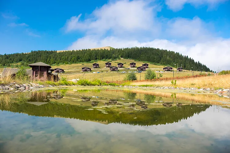 Koçkayası Tabiat Parkı Kamp Alanı