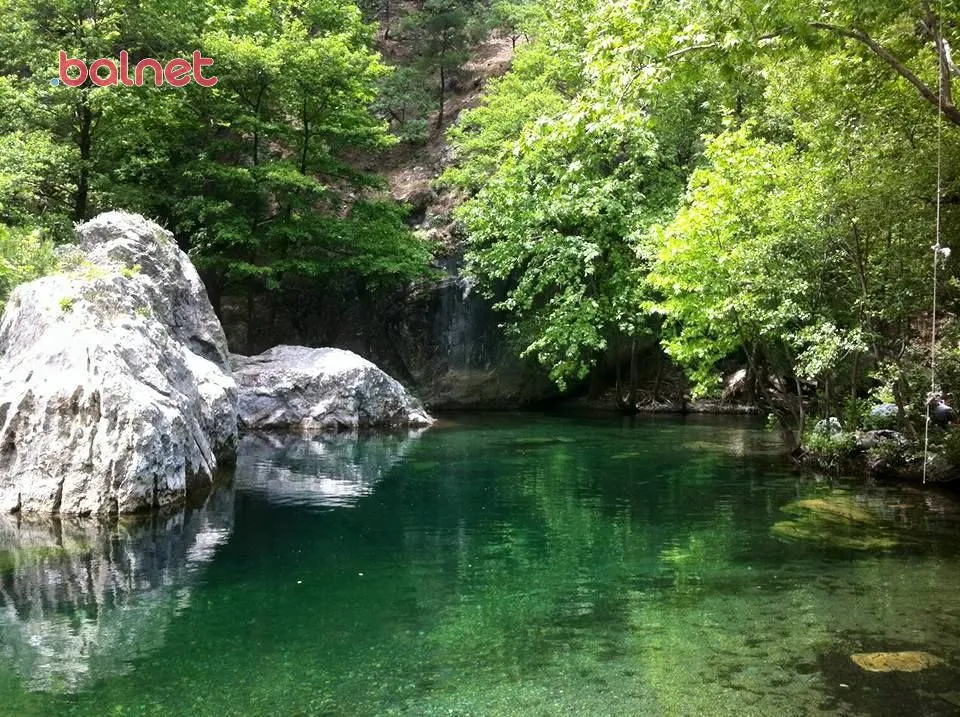 Kuzgun Obası Kamp Alanı