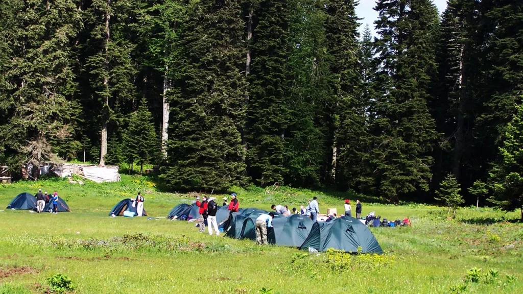 Kuzu Yaylasi Milli Parki Kamp Alani