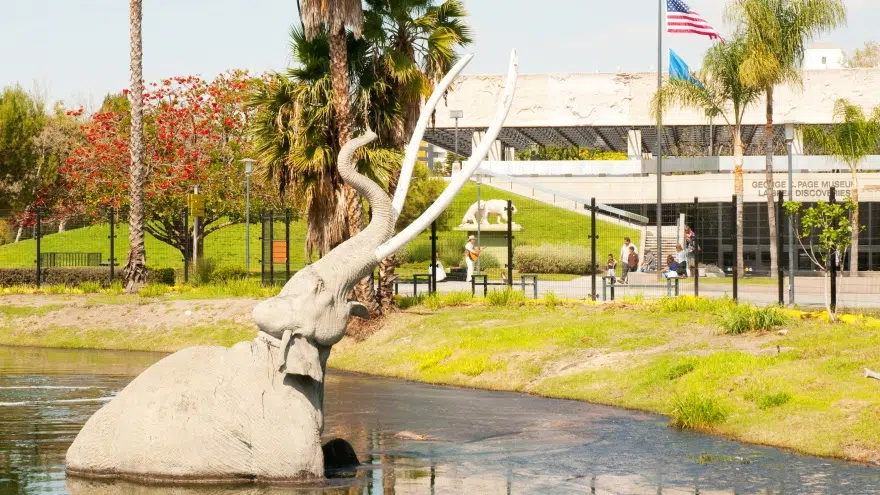 La Brea Tar Pits